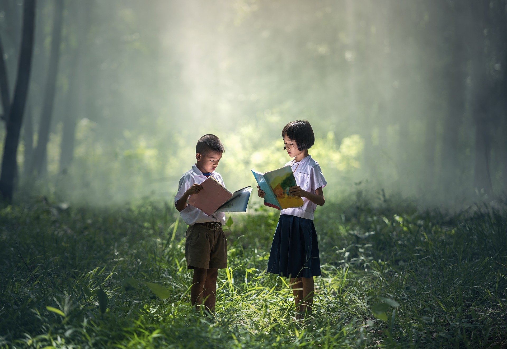 children picture book chapter book publishing children's book publishing services