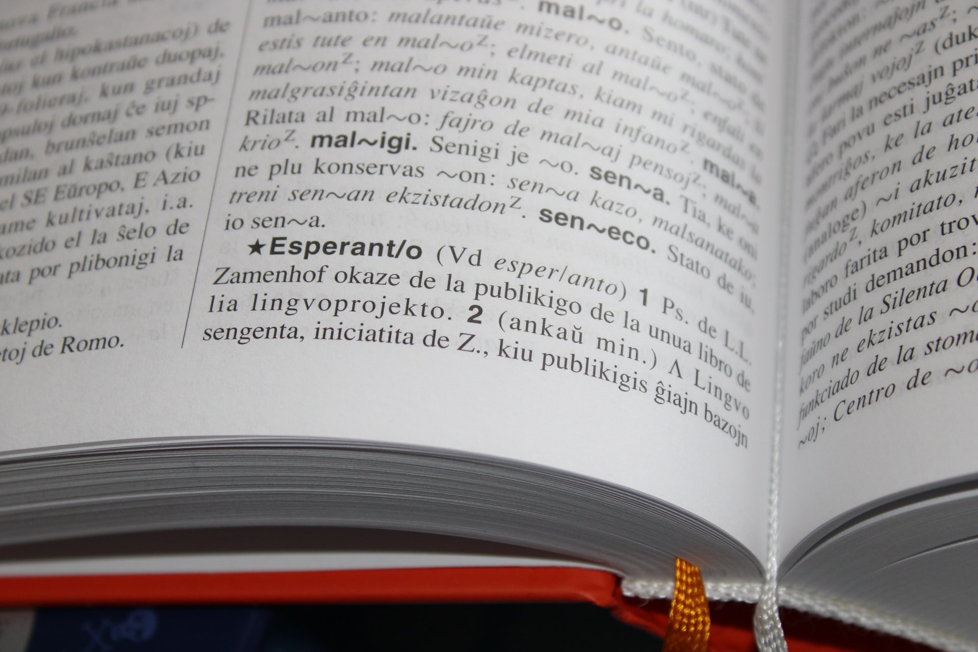 Should You Translate Your Book Best-SellingBookGenres
