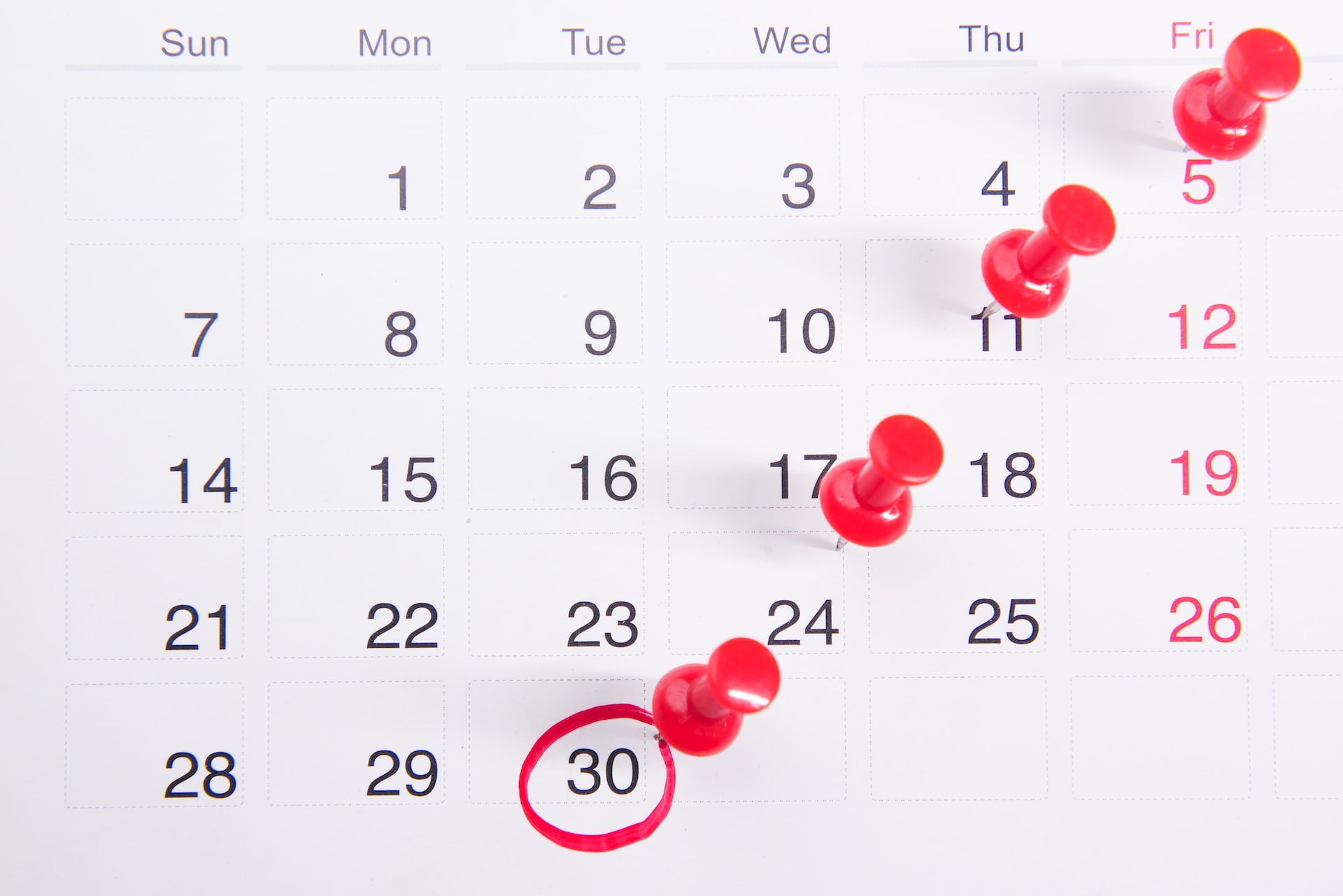 Image shows a calendar with multiple dates pinpointed and one date circled to show the process of choosing a publish date for your book.