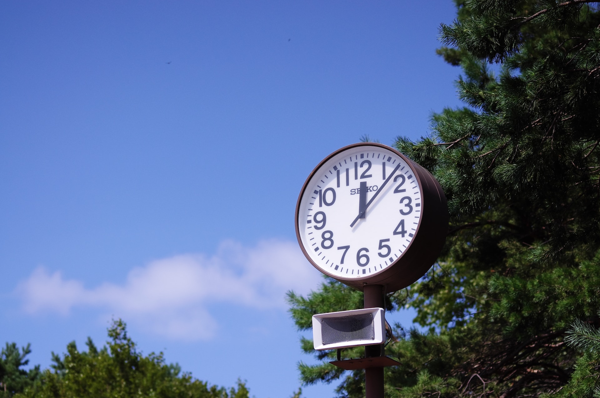 Outdoor illustrates passing time to highlight the topic of when writers should create an IngramSpark account.