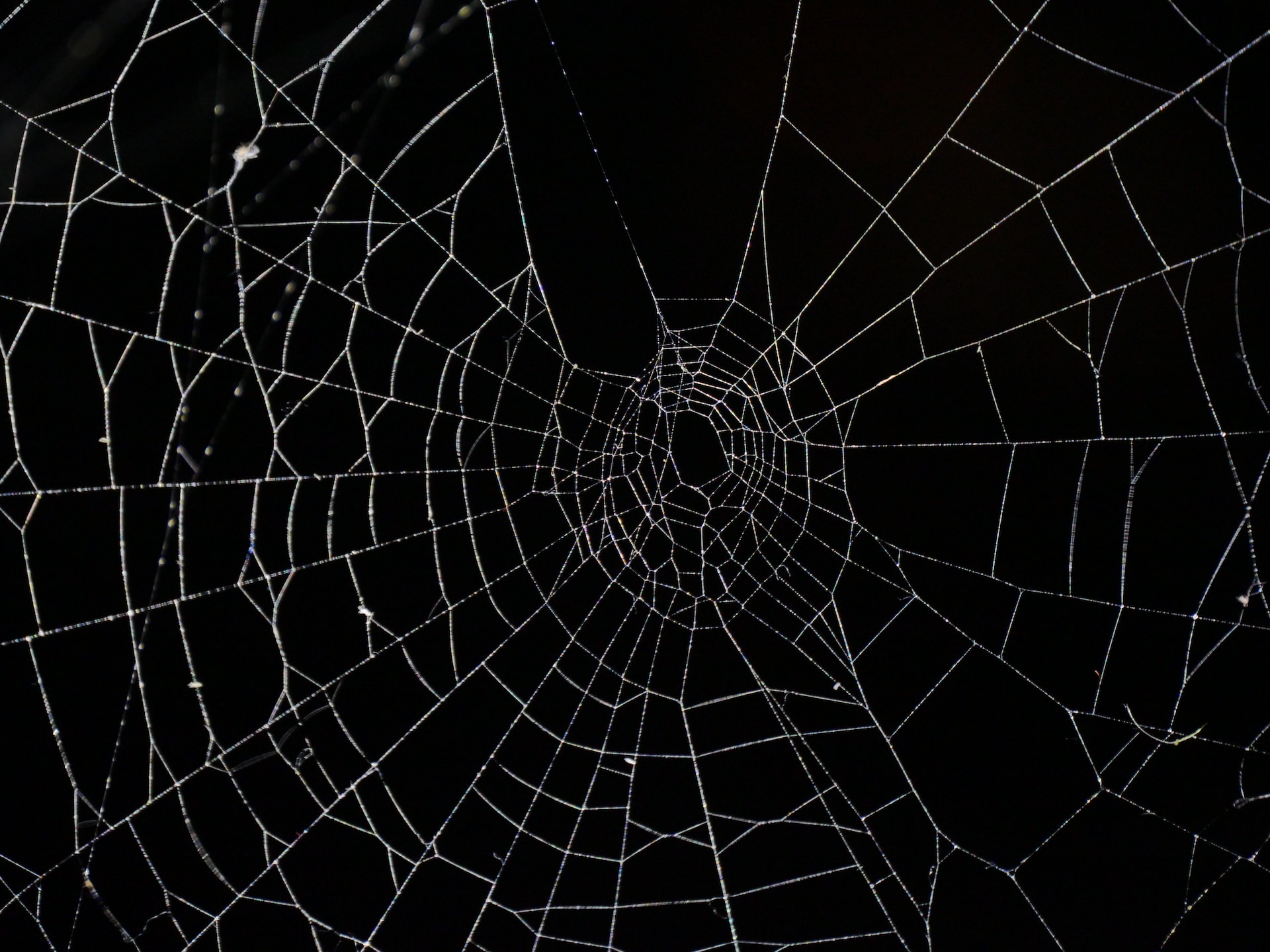 Spin a frightening tale with these 31 Halloween writing prompts.
