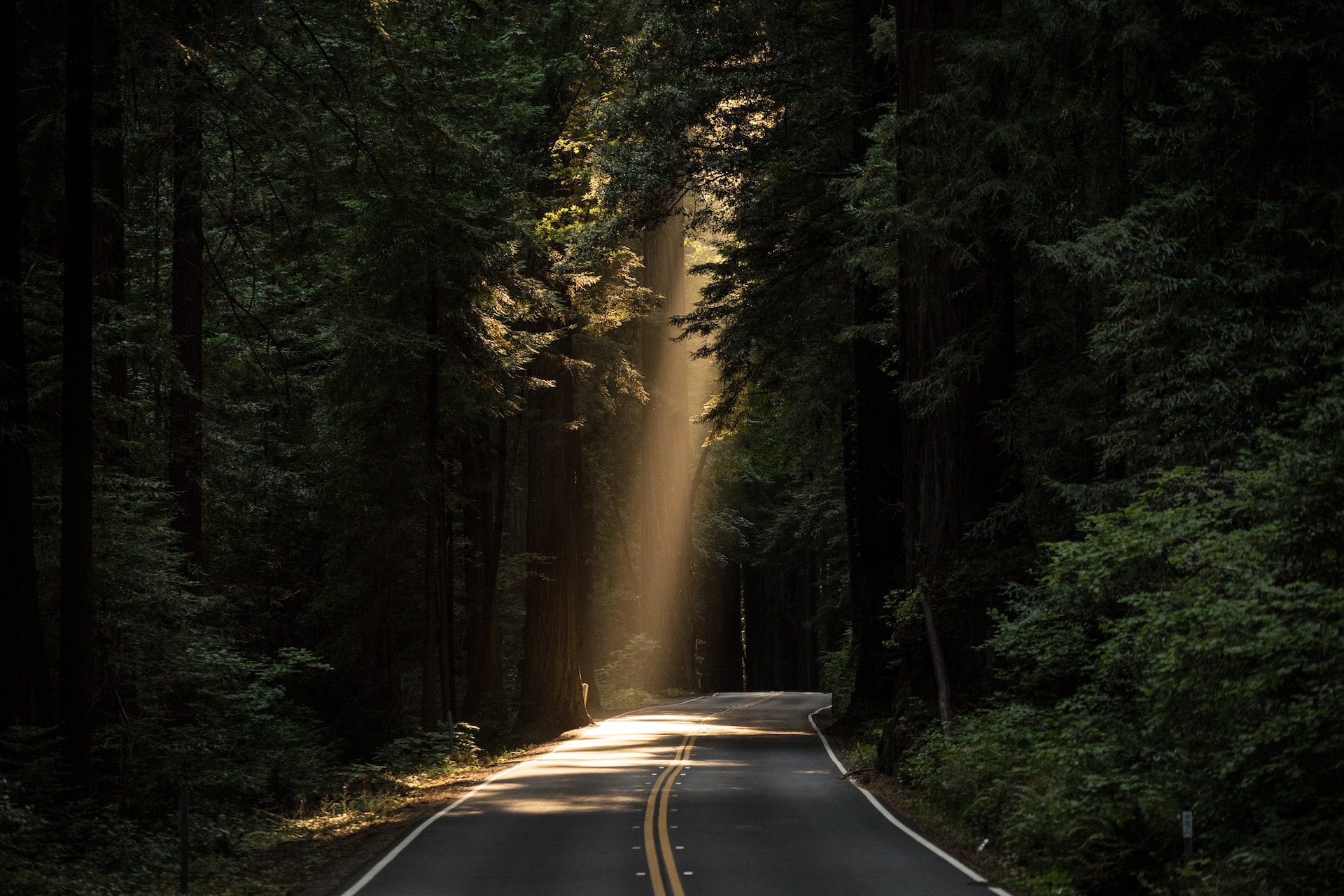 Image shows road with light shining down on it, illustrating the idea that this is the year to publish your book
