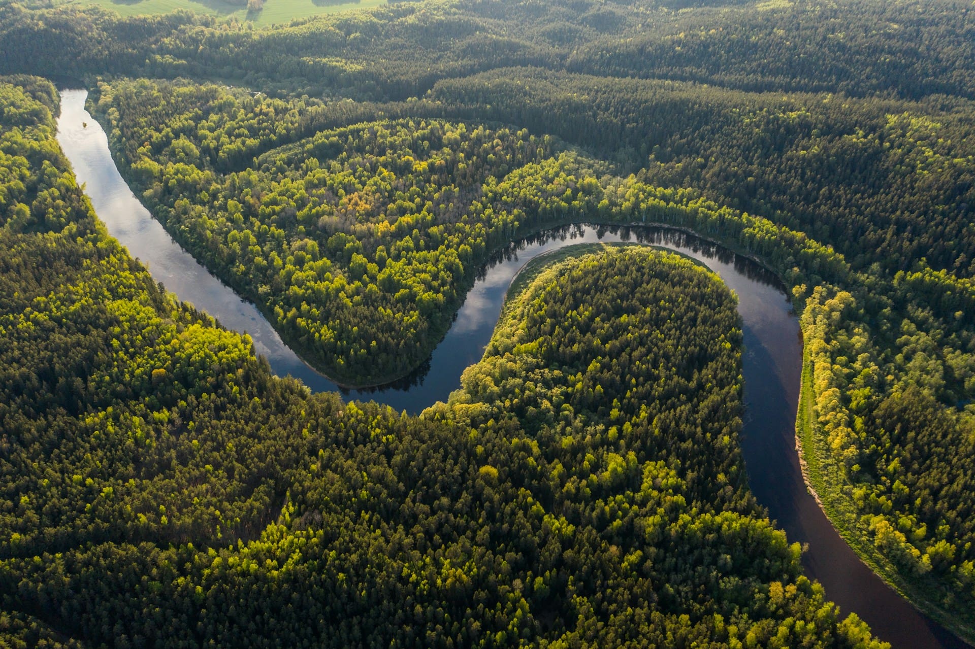 Overhead image of the Amazon rainforest as a playful nod to the topic of how to publish a book on Amazon