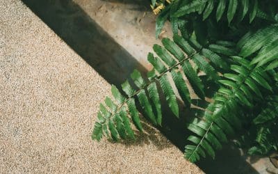 Author Bio: Should You Include One in Your Book?