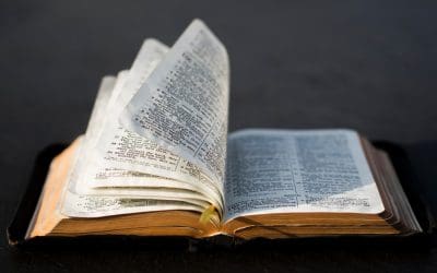 Do You Need Permission to Quote the Bible in Your Book?