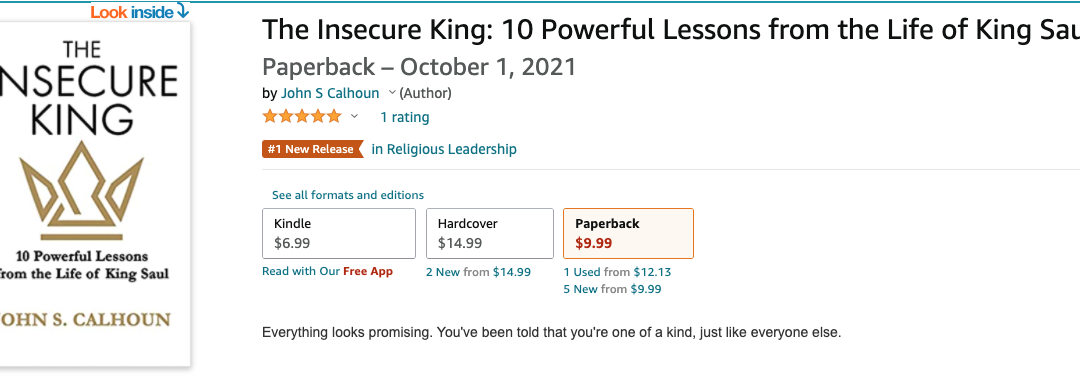 #1 New Release: The Insecure King